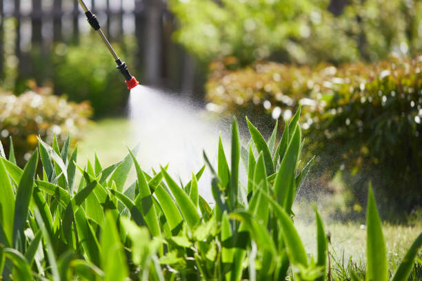 24/7 Emergency Mosquito Control experts in Leisure Village, NJ