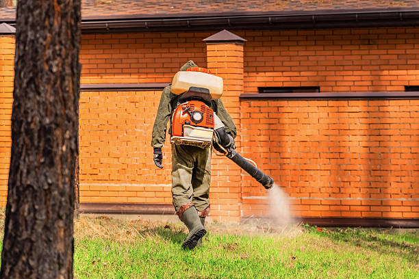 Trusted Cockroach Control service in Leisure Village, NJ - Nex Pest Control